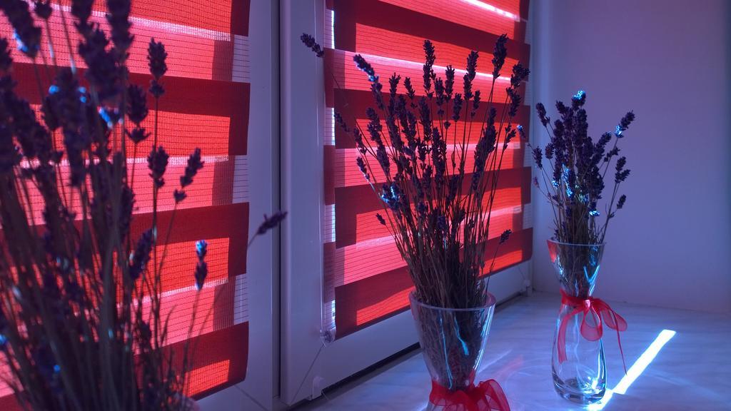 Apartament W Krakowie ภายนอก รูปภาพ